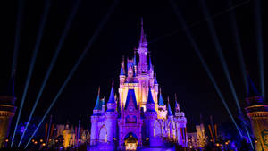 Disneyworld om natten