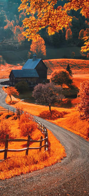 Smuk efterårs-iPhone — ZTE Axon 60 Lite Wallpapers
