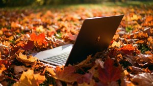 En Chromebook gemt blandt farverige efterårsblade med varmt sollys.
