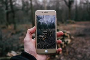 person tager et billede af brænde med iPhone — iPhone 8 Wallpapers