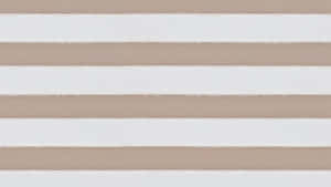 Elegant præsentation af beige æstetik — Blød æstetisk GIF Wallpapers