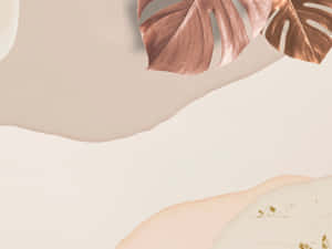 Æstetisk beige baggrund — Æstetisk beige Wallpapers