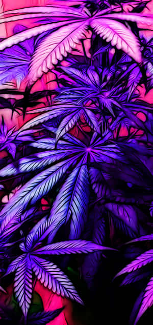 Violet æstetiske billeder — Xperia 10 VII Wallpapers