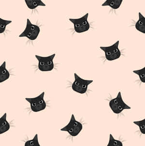 Billeder af sorte katte — iPad Air 11 Wallpapers