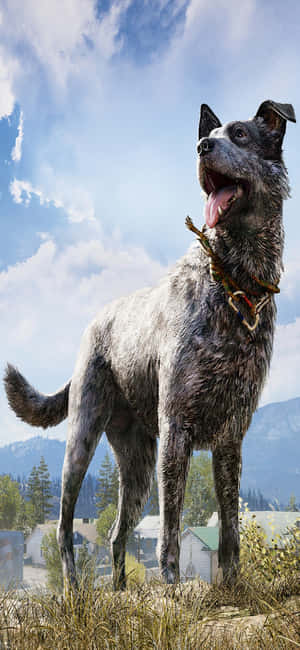 Iphone Xs Far Cry 5 Baggrund — Galaxy Note Wallpapers
