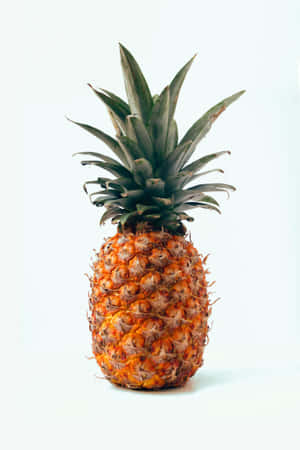 Ananas billeder — Vivo Pad5 Pro Wallpapers