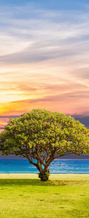1080x2636 — Xiaomi Mix Flip 2 Wallpapers