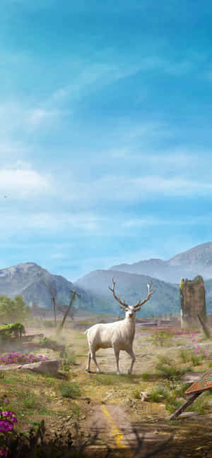 iPhone Xs Max Far Cry 5 Baggrund — RedMagic 11S Pro Wallpapers