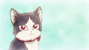 En huskat, der nyder tiden med en ung mand i et rum — Anime kat Wallpapers