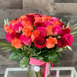 Rose blomst billeder — Rose Blomst Wallpapers