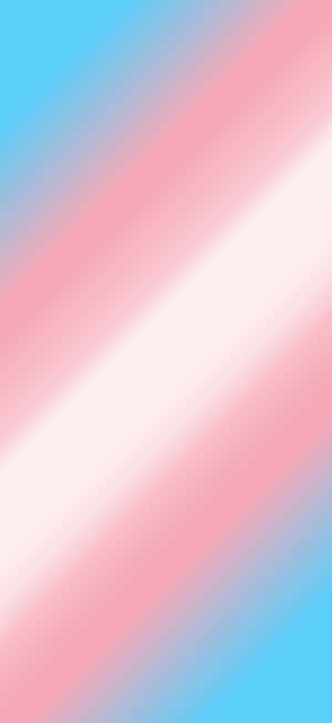 Trans Phone — Redmi Note 15 Special Wallpapers