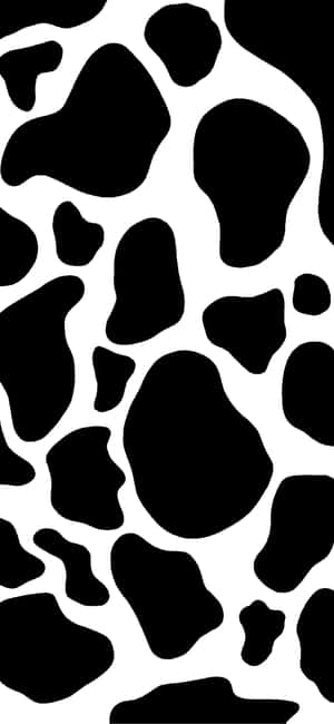 Æstetiske sort-hvide billeder — Æstetisk sort og hvid Wallpapers