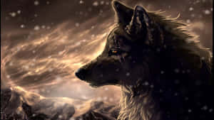 Cool Wolf billeder — Ulv Wallpapers