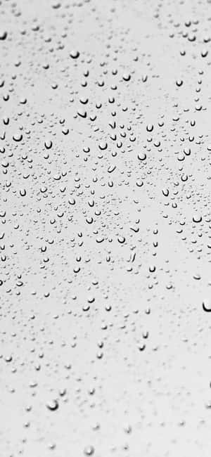 1290x2796 — Fairphone Wallpapers