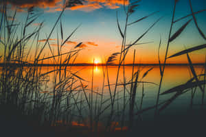 Smukke solnedgangsbilleder — Smuk solnedgang Wallpapers