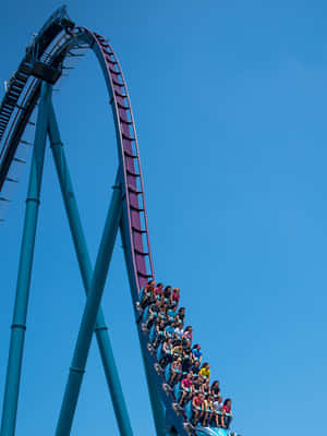 Seaworld billeder — iPad 9. generation Wallpapers