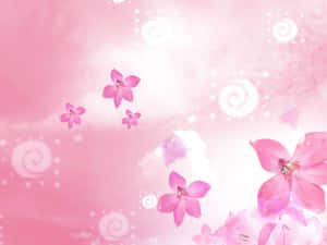 En smuk blomst, der blomstrer i solskinnet