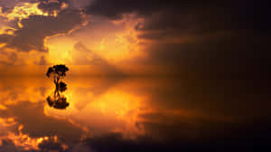 Smukke solnedgangsbilleder — Solnedgang Wallpapers