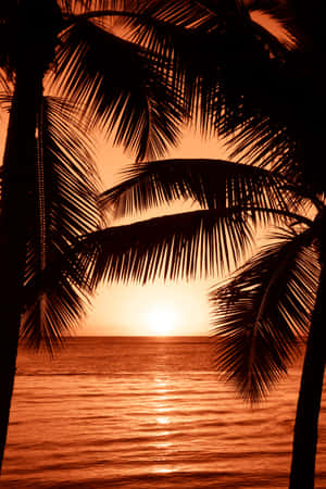 Strandsolnedgangsbaggrund — Strandsolnedgang Wallpapers