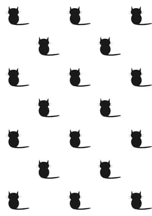 Billeder af sorte katte — Sort kat Wallpapers