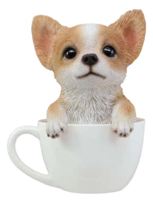 Tekop Chihuahua Billeder — iPad 9. generation Wallpapers