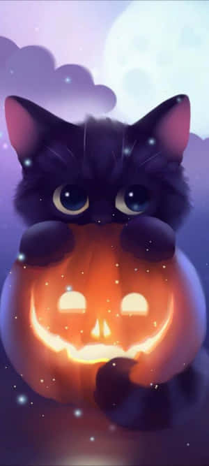 Halloween kattebilleder — Pixel 10 Wallpapers