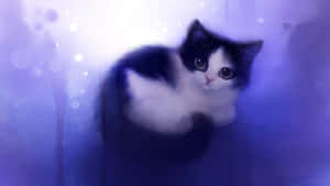Tegneseriekat billeder — Tegneserie kat Wallpapers