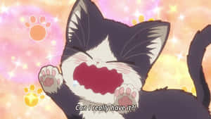 Anime kat billeder — Sød kat Wallpapers