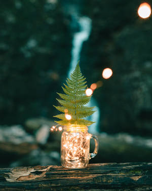 Blad i en krukke baggrund. — 4:5 Wallpapers
