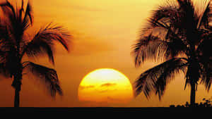 Billeder af solnedgang ved stranden — Strandsolnedgang Wallpapers