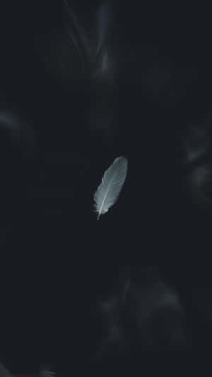Æstetiske sort-hvide billeder — Æstetisk sort og hvid Wallpapers