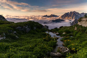 Smuk naturbaggrund