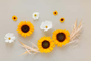 Blomsterbilleder — Blomstret Wallpapers