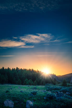 Skov bjerg landskab solopgang baggrund — Solopgang Wallpapers