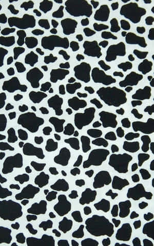 Cow Iphone — Tecno Megapad 11 Wallpapers