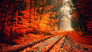 Efterårsæstetisk baggrund — Efterårsæstetik Wallpapers