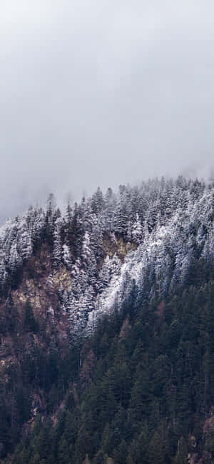Fængslende iPhone X Naturbaggrund — Honor GT Wallpapers