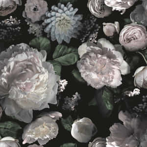 Fængslende mørk blomsterbaggrund — Mørk blomstret Wallpapers