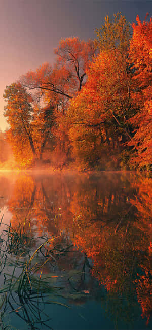 Fængslende Naturscene til iPhone X — Samsung Galaxy S20 Wallpapers