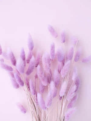 Lavendel pastellilla æstetisk baggrund