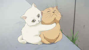 Animekat billeder — Anime kat Wallpapers