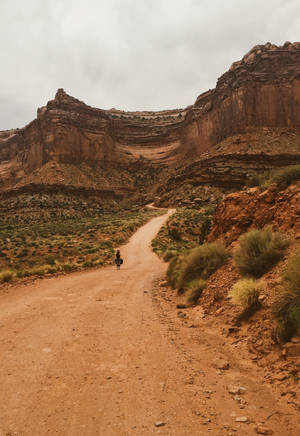 Fantastisk iPhone 13 på et træbord — iPhone 14 Pro Wallpapers