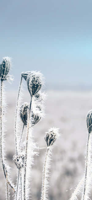Fantastisk Skovvandfaldsscene — Nothing Phone (3) Wallpapers