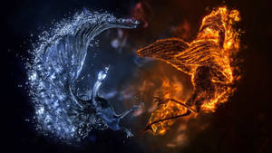 Cool 3D-kunstværk af fugle, der kæmper, tapet. — 1600x900 Wallpapers