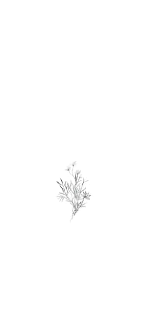 Kunsttegning billeder — Xperia 10 Wallpapers