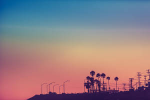 Farverig solnedgang i Los Angeles tapet — Sunset Boulevard Wallpapers