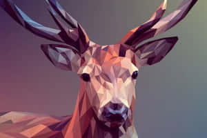 Farverige abstrakte logo-designs med indviklede detaljer — Grafisk design Wallpapers