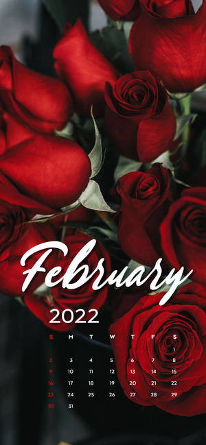 Februar 2022 Røde Roser Kalender wallpaper — iPhone 16e Wallpapers