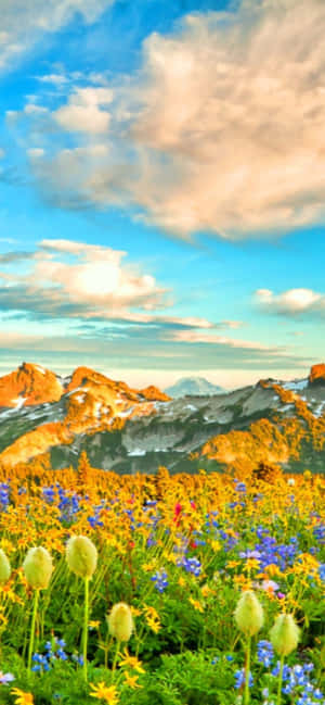 Pixel 3 Forårsbaggrund — Galaxy S22 Ultra Wallpapers