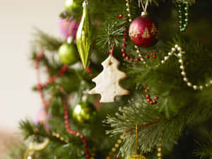 Smukke julebilleder — Smuk jul Wallpapers